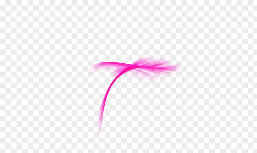 Pink Dandelion Computer Pattern PNG