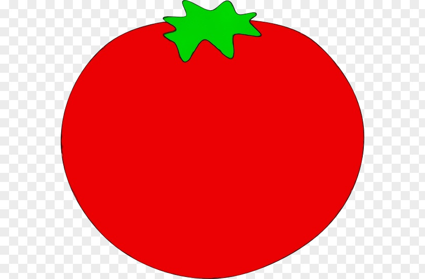 Solanum Fruit Tomato PNG