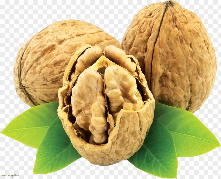 Walnut English Eastern Black Nuts PNG