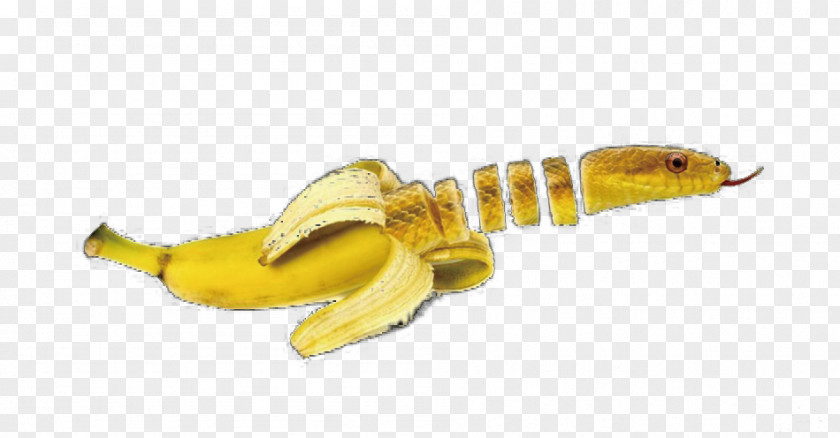 Creative Banana Snake Animal Fruit Vegetable PNG