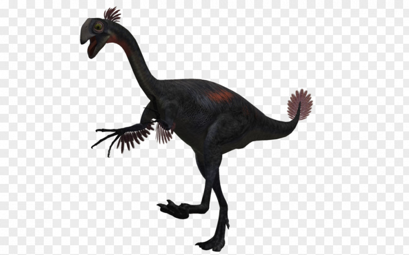 Gigantoraptor Velociraptor Animal PNG