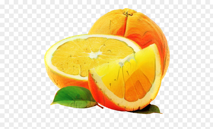 Pomelo Rangpur Lemon PNG