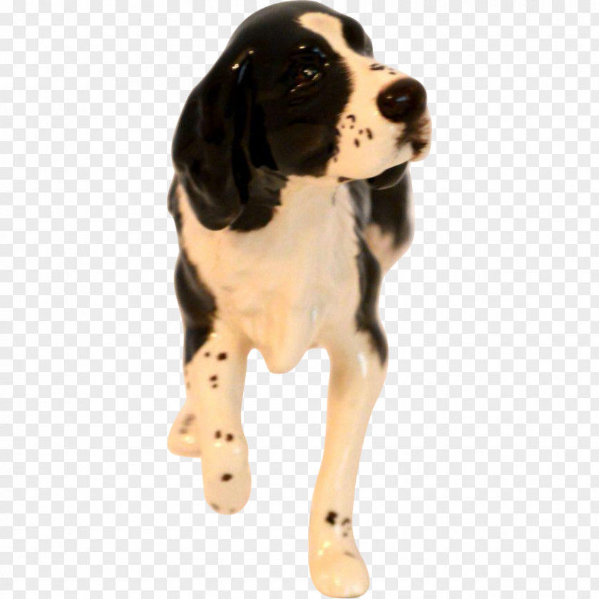 Puppy Dog Breed Spaniel Leash PNG