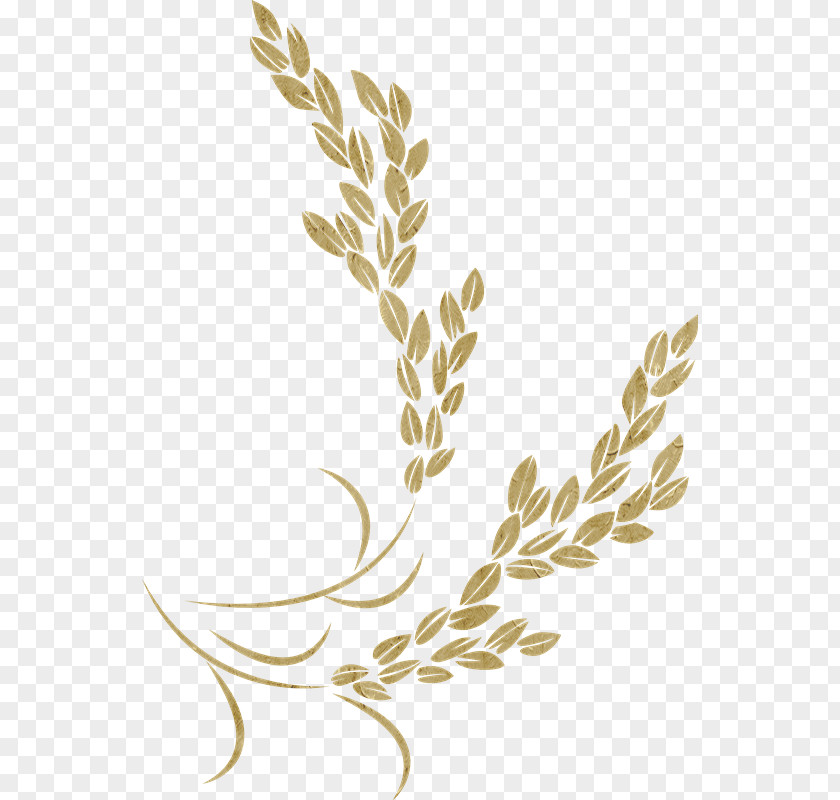 Rice Golden Icon PNG