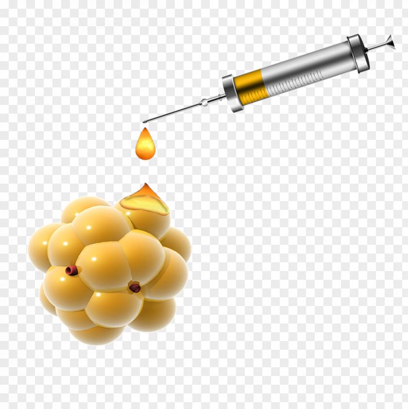 Syringe Injection Lipolysis Adipose Tissue Fat PNG