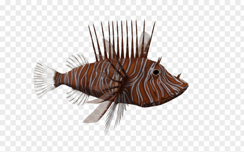 3d Marine Red Lionfish 3D Computer Graphics Poser Download PNG