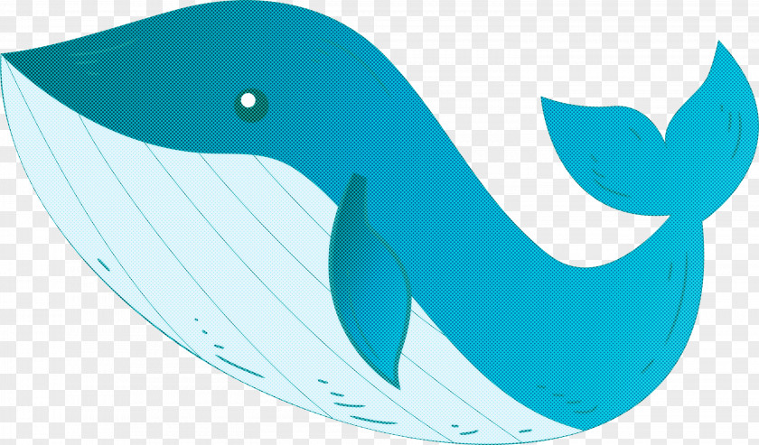 Aqua Bottlenose Dolphin Turquoise Cetacea Blue Whale PNG