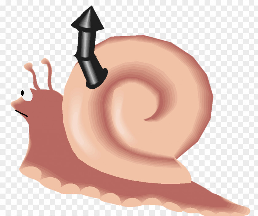Escargot Snail Gastropods Gastropod Shell Blog Clip Art PNG