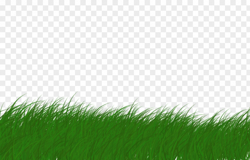 Lawn Animaatio PNG