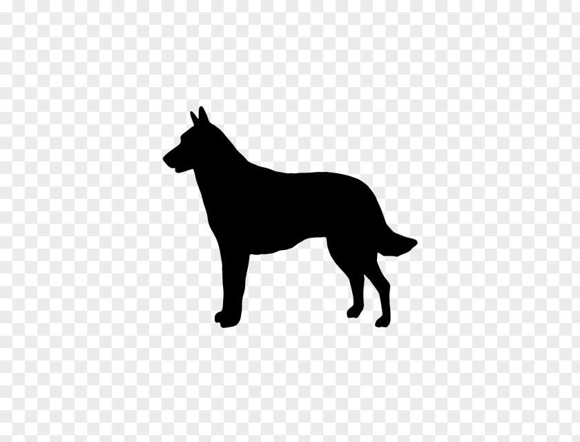 Malinois Dog Belgian Shepherd German Tervuren Laekenois PNG