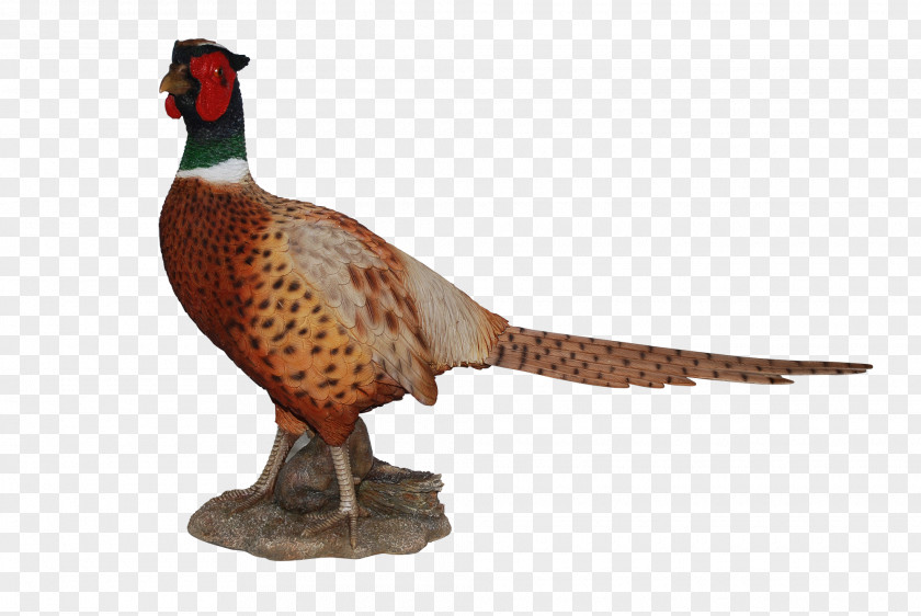 Pheasant Art Garden Ornament PNG