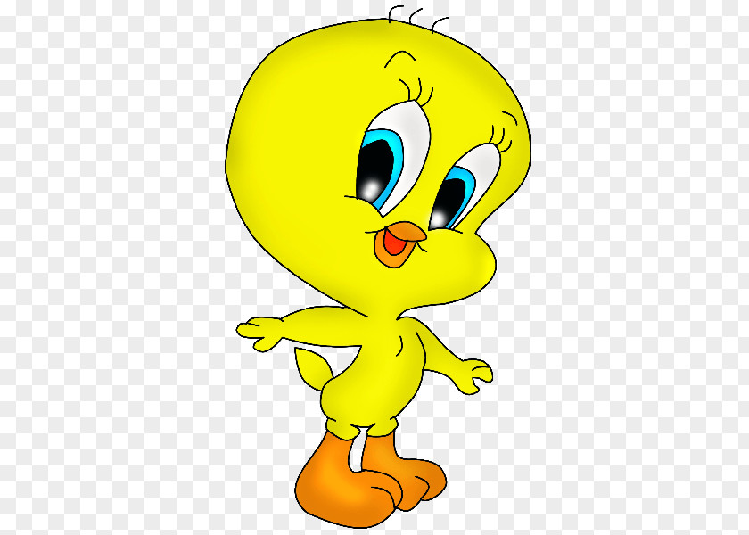 Tweety Drawing Looney Tunes Clip Art PNG