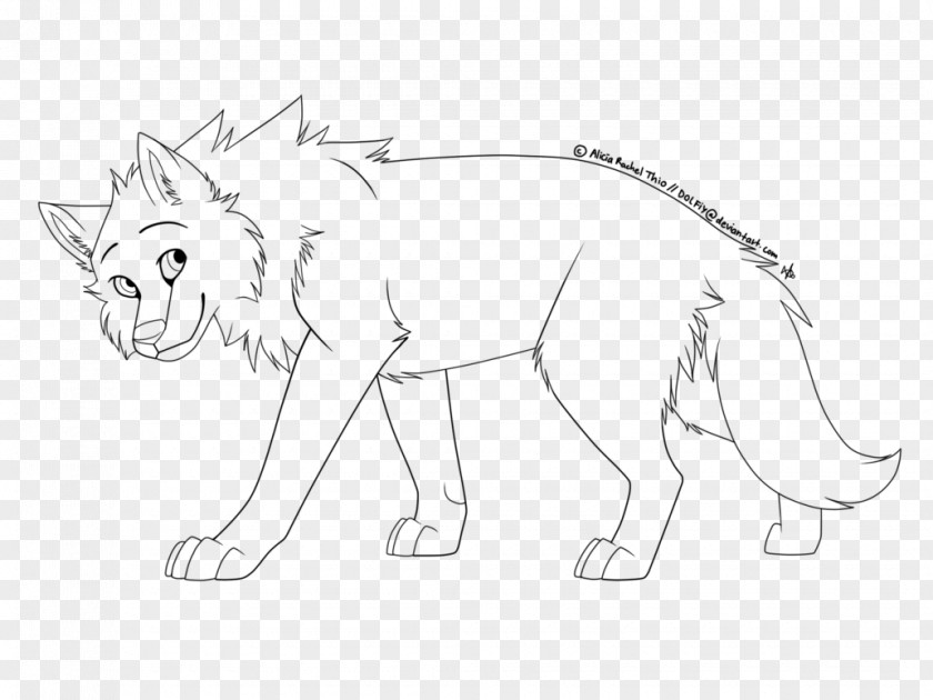 Cat Whiskers Line Art Drawing White PNG