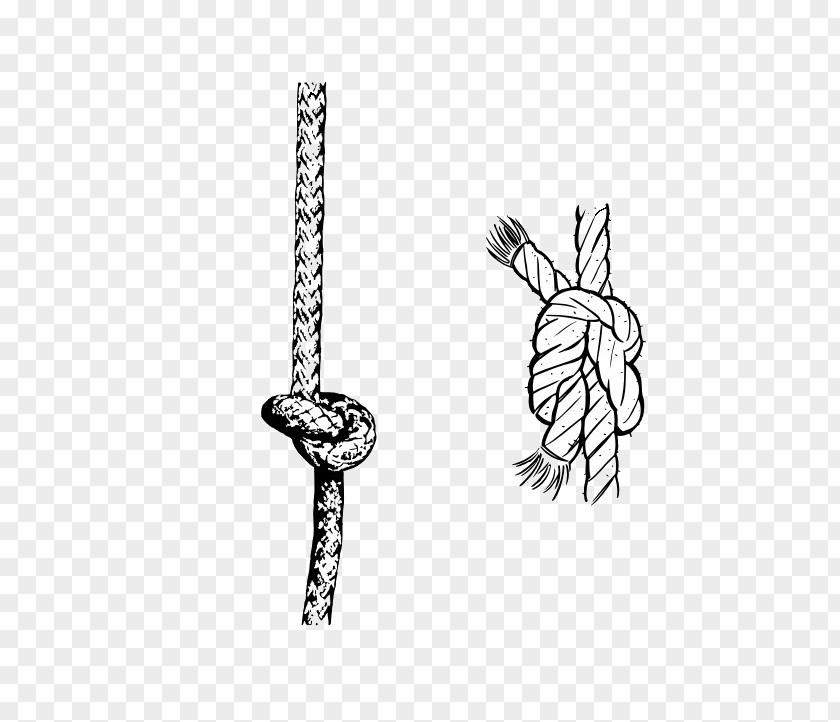 Rope Knot Cdr PNG