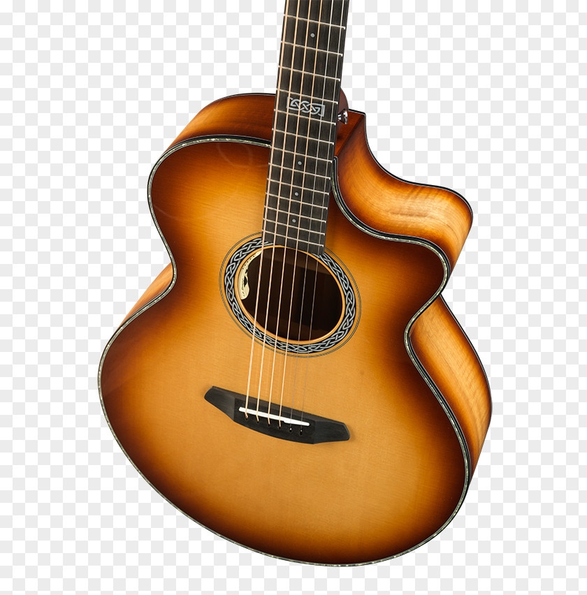 Acoustic Guitar Electric Bass Tiple PNG