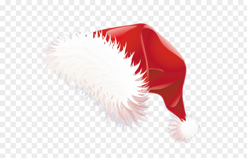 Bonnet Santa Claus Christmas Suit Hat Clip Art PNG