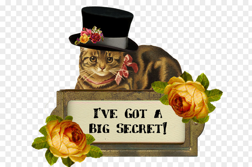 Cat Victorian Era Greeting & Note Cards Trailer Cabochon PNG