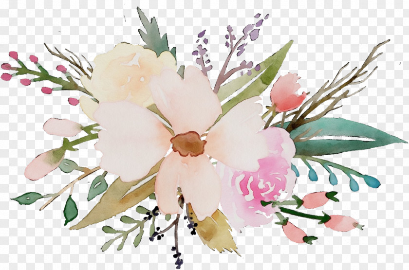 Magnolia Branch Watercolor Pink Flowers PNG