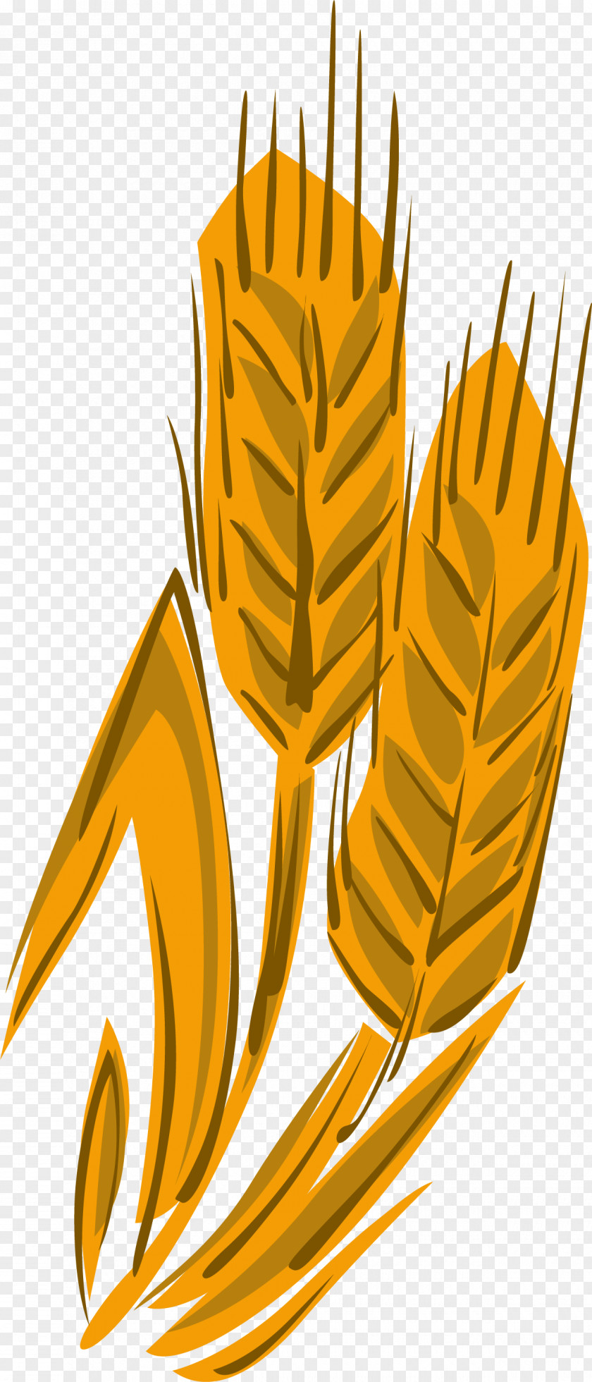 Vector Wheat Clip Art PNG