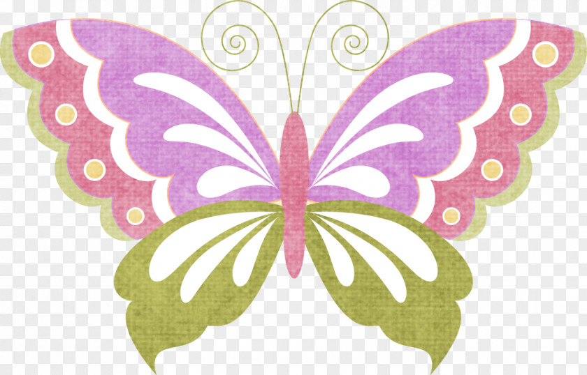 Butterfly Monarch Clip Art PNG