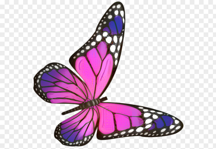 Lycaenid Magenta Monarch Butterfly Drawing PNG