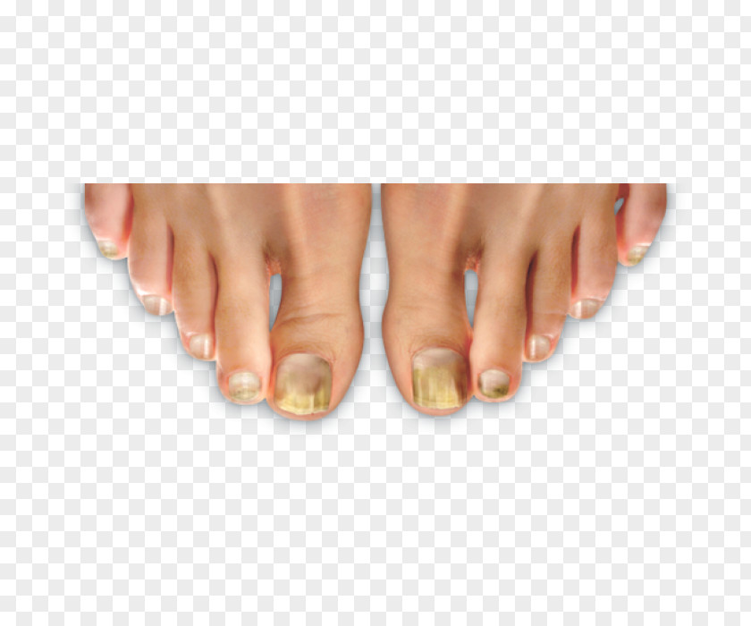 Nail Manicure Hand Model Toe PNG