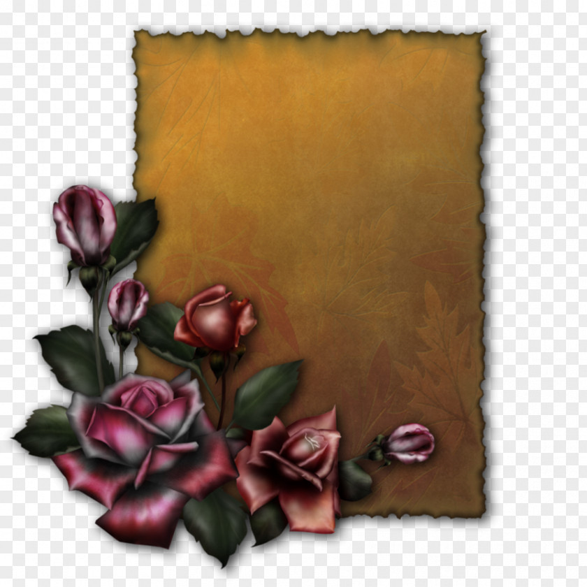 Paper Stock Picture Frames Scrapbooking Painting Floral Design PNG