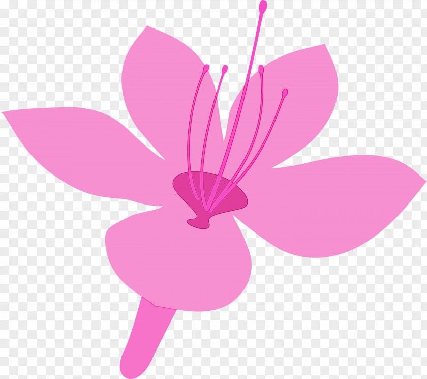 Pink Petal Flower Plant Magenta PNG