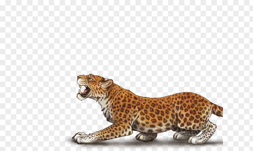 Cheetah Leopard Jaguar Cat Terrestrial Animal PNG