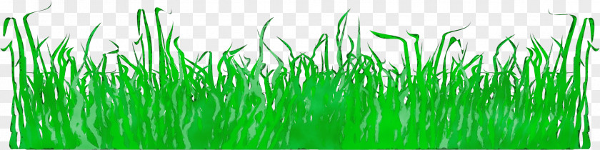 Grass Family Green Background PNG