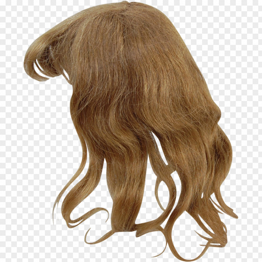 Hair Brown Wig Blond Coloring PNG