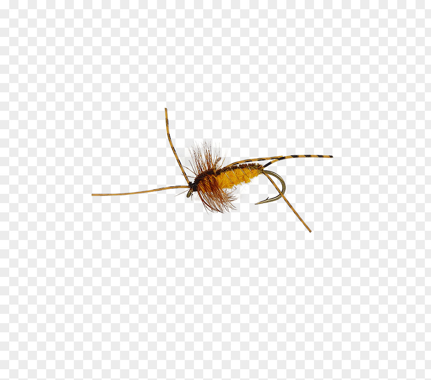 Insect Artificial Fly PNG
