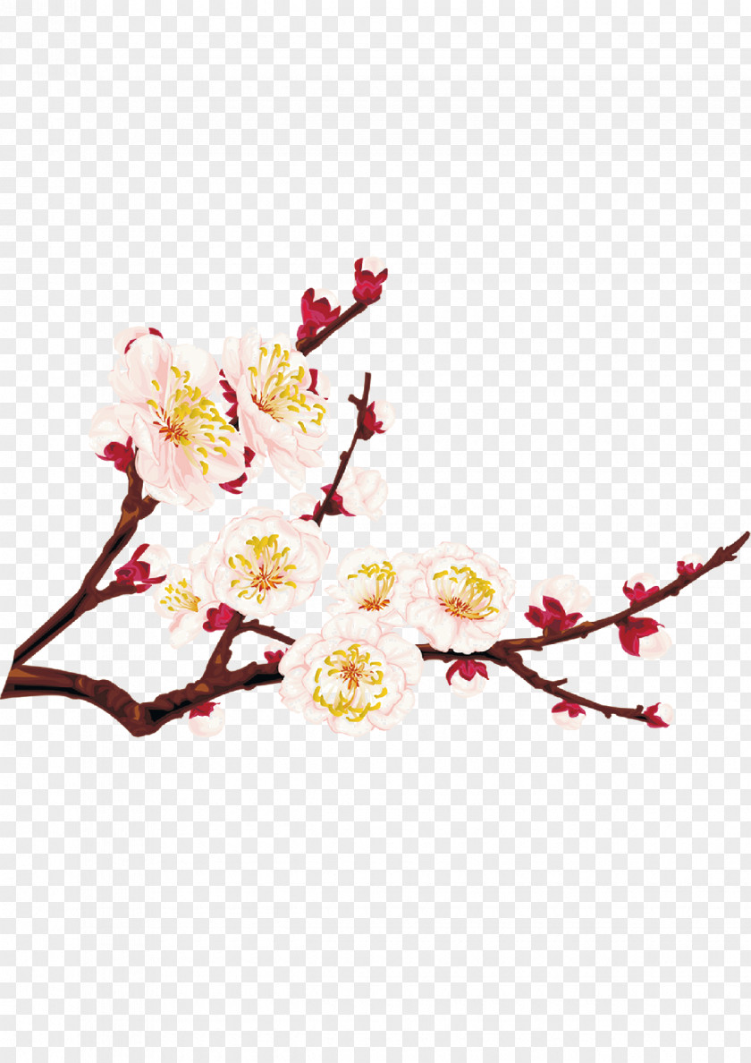 Plum Creative Blossom Download PNG