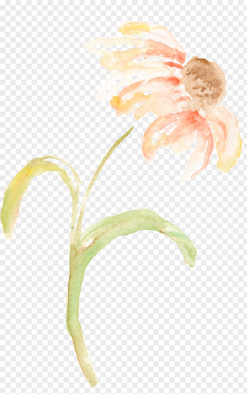 Watercolor Flower Painting Art PNG