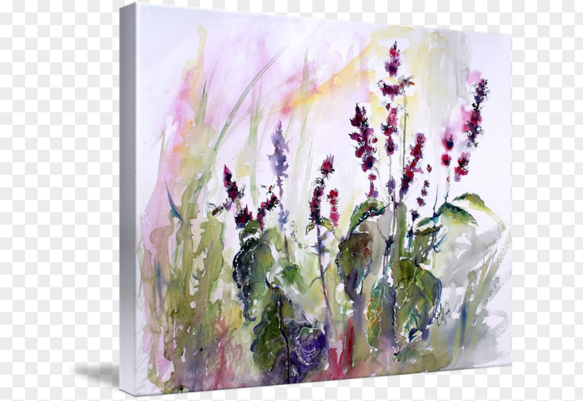 Watercolor Painting English Lavender Still Life Herb Art PNG