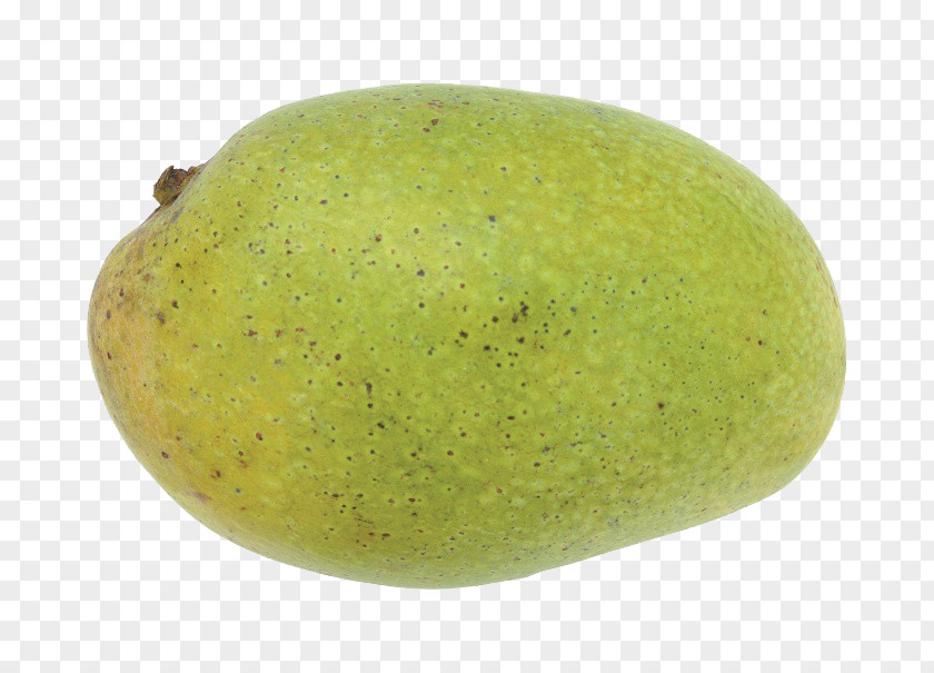 A Mango Citron Lemon Kiwifruit PNG