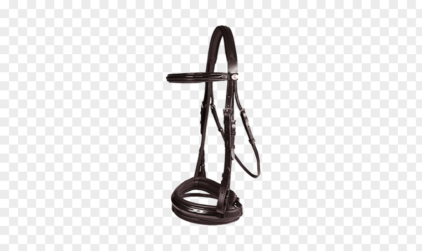 Bridle Bit Prague PNG