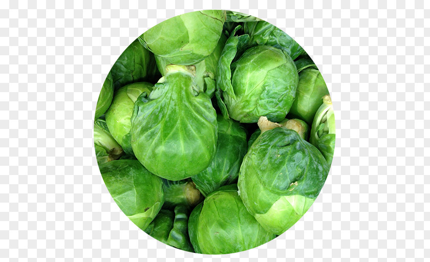 Brussels Sprouts Sprout Cabbage Collard Greens Spring PNG