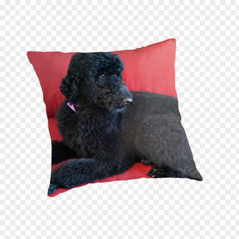 Poodle Dog Breed Throw Pillows Cushion Water PNG