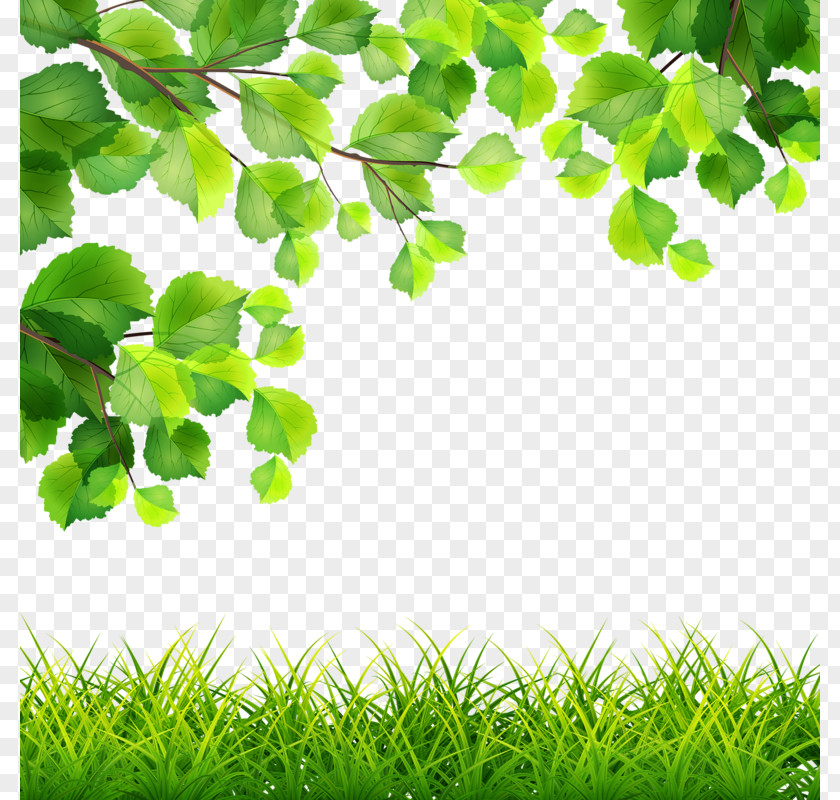 Trees Grass Green Royalty-free Branch Illustration PNG