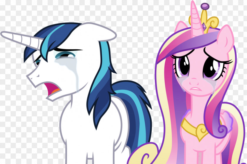 Youtube Princess Cadance Pony Twilight Sparkle Spike Pinkie Pie PNG