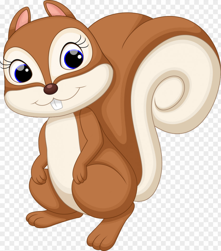 Cartoon Squirrel Cuteness Illustration PNG