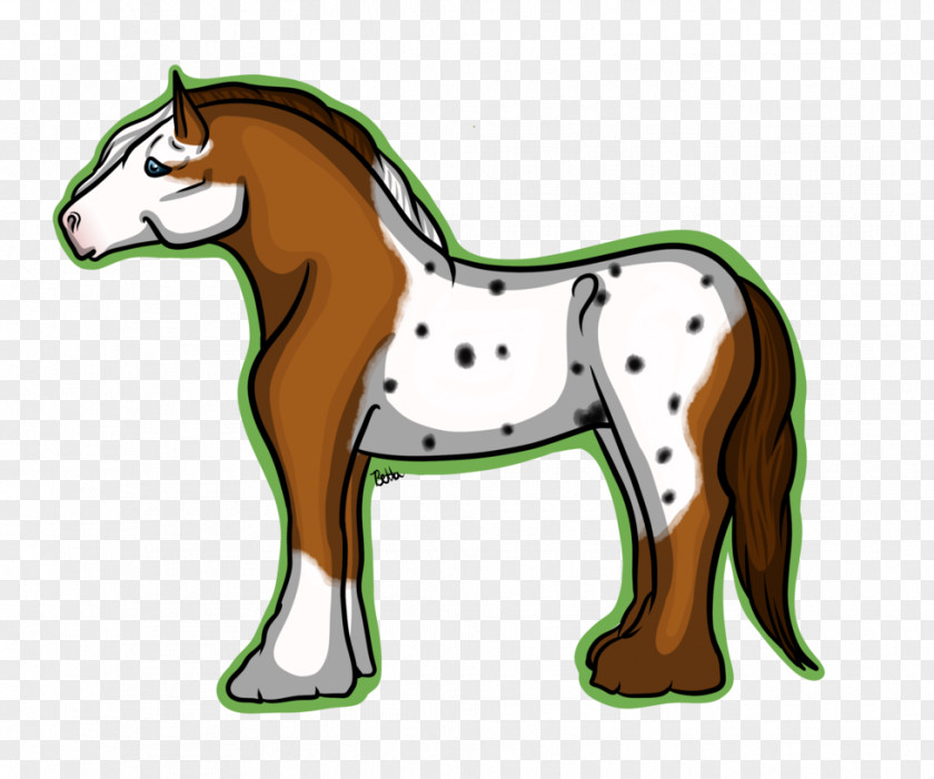 Mustang Mane Foal Colt Stallion PNG