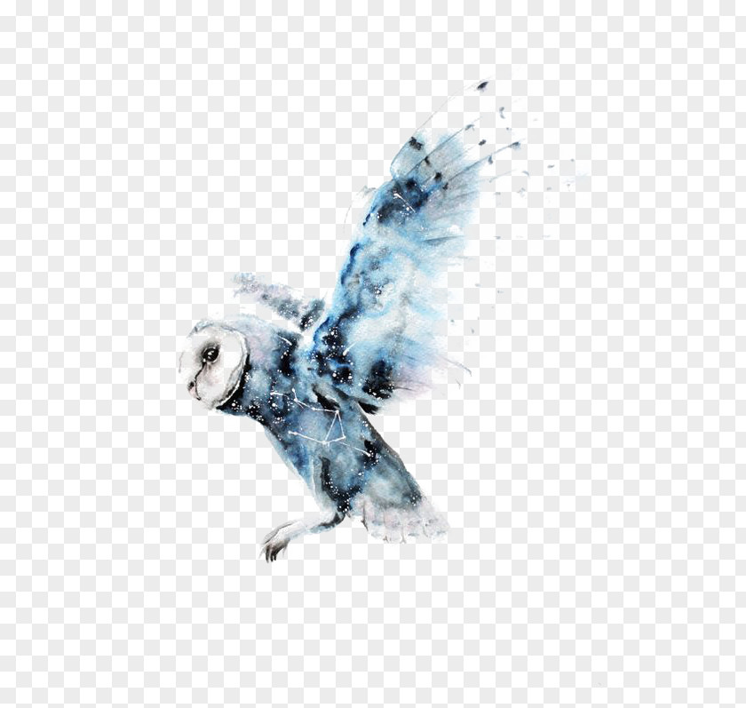 Watercolor Owl Painting Harry Potter Art Drawing PNG