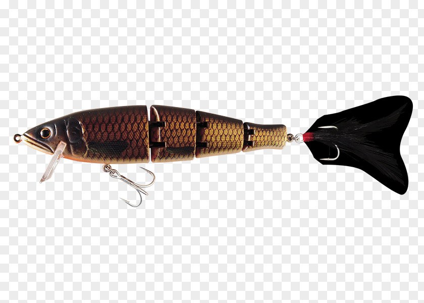 Carp Bait Spoon Lure Fish AC Power Plugs And Sockets PNG