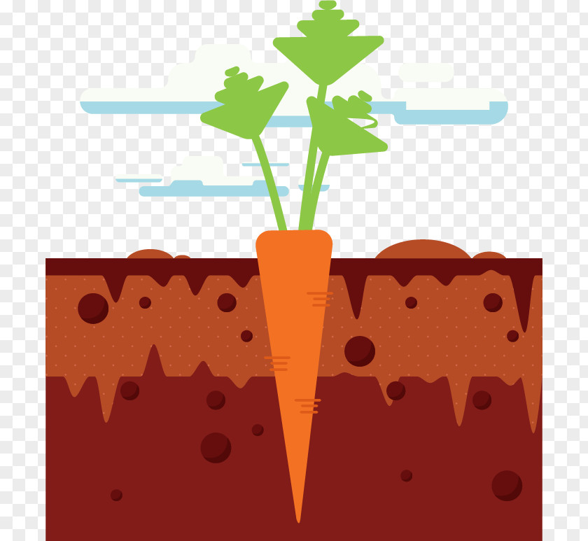 Carrot Decorative Pattern Vector Material Free Buckle Cartoon Download PNG