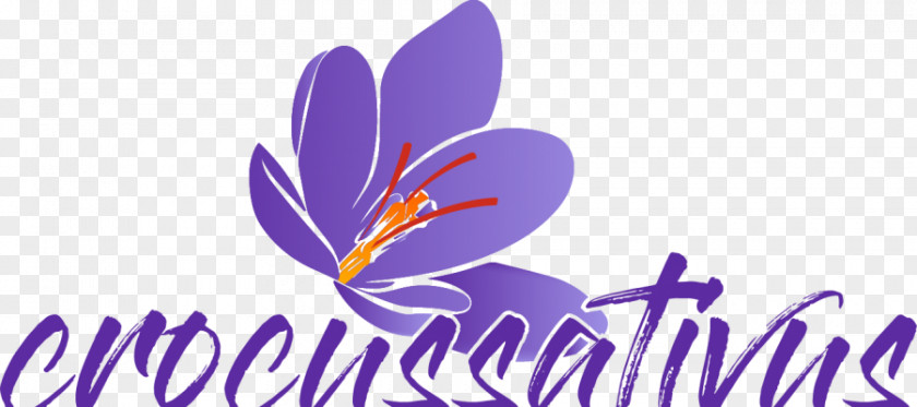 Saffron Crocus Autumn Restaurant Restauracja Aleksandra Sicil Acque Minerali Si.A.M. (S.R.L.) PNG