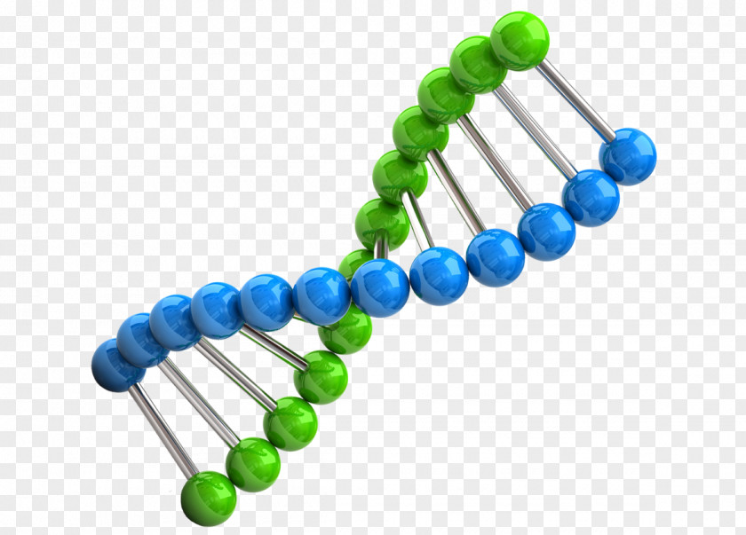 Science Chromosome Genetics DNA Biology PNG