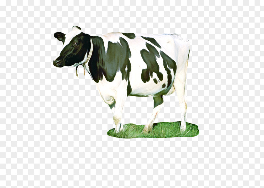 Statue Cowgoat Family Cow Background PNG