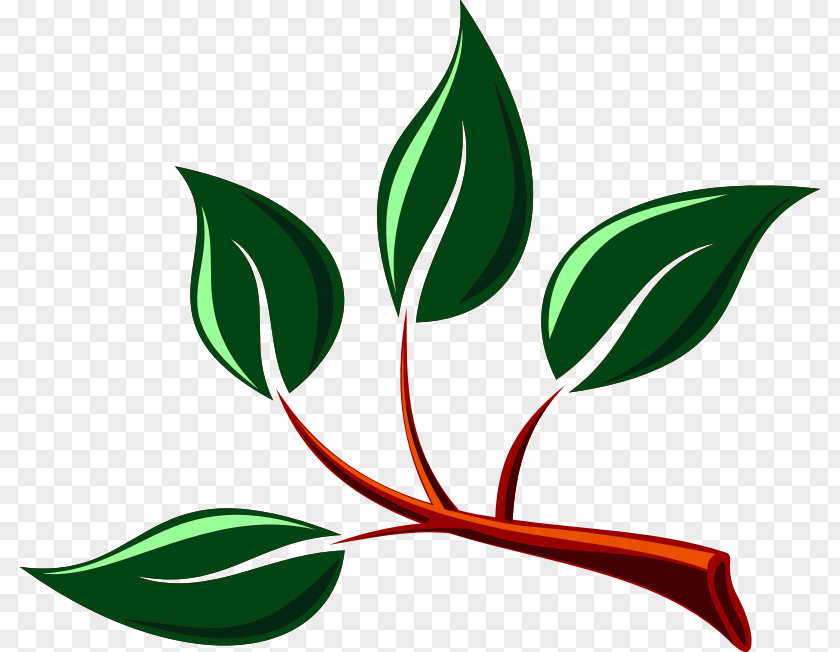 Tree Branch Clip Art Leaf Image PNG